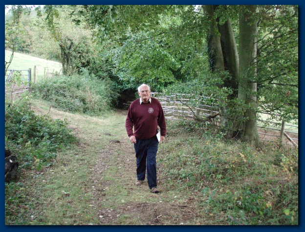 600x449 pixels (196K)